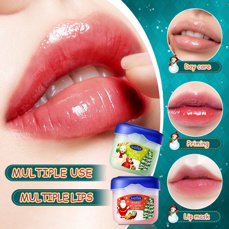 Full English Christmas Hand Cream Lip Balm Combo Set SADOER Anti-chapping Moisturizing  Wholesale