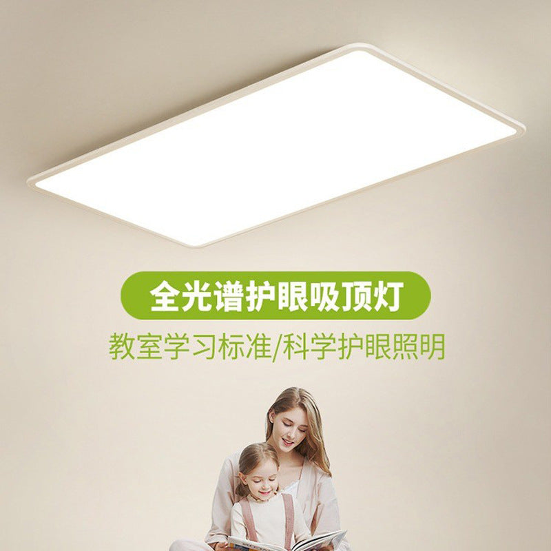 Full Spectrum Ceiling Light Hall High-end Zhongshan Lighting Modern Simple Living Room Light Home Study Bedroom Light