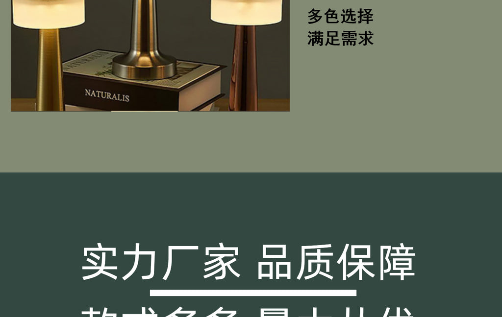 USB Rechargeable Eye Protection Bedside Table Lamp Bar Qingba Hotel Atmosphere Touch Night Light LED Metal Table Lamp