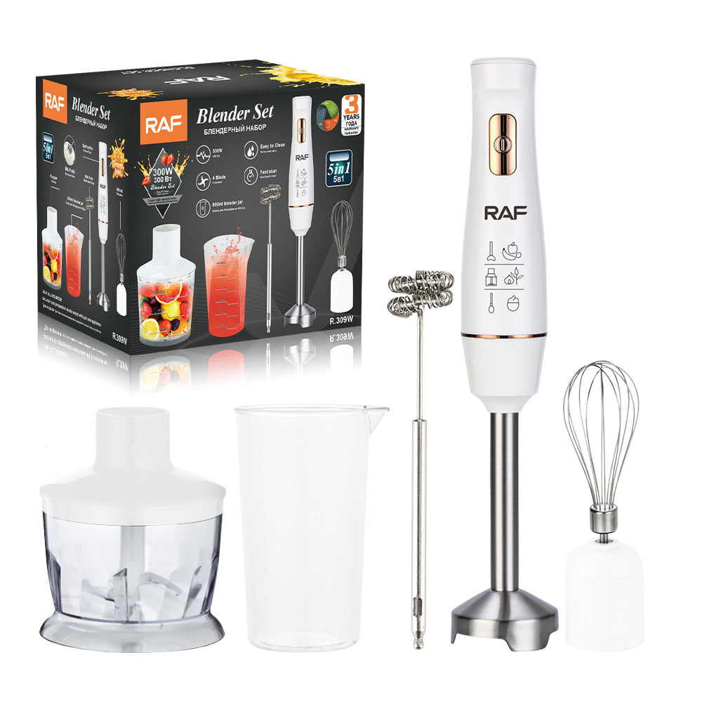 RAF EU Standard Portable Household Electric Stainless Steel Cooking Stick Blender Food Mixer 5-in-1309
