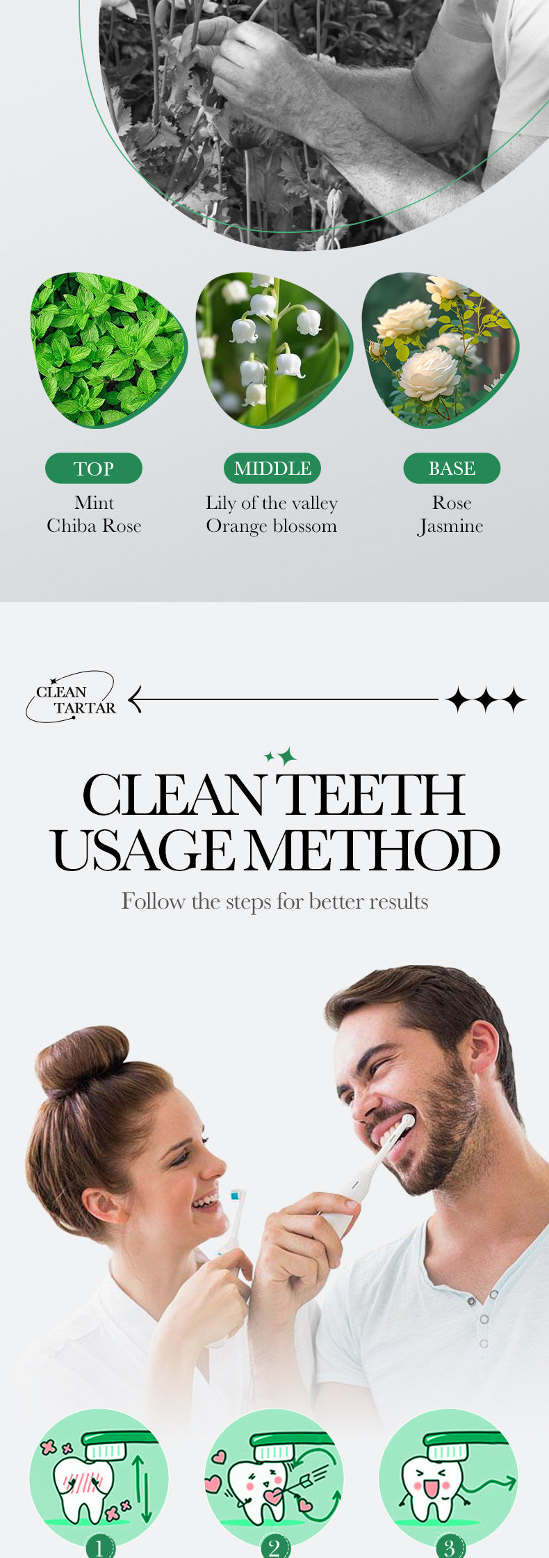 All English Toothpaste100g BIOAOUA Baking Soda Gum Care Niacinamide Fresh  Wholesale