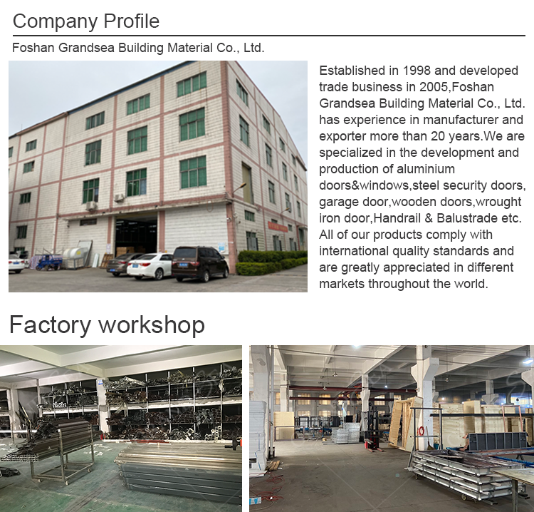 Foshan Factory High Quality Double Front Entry Doors Wrought Iron Doors Double Exterior