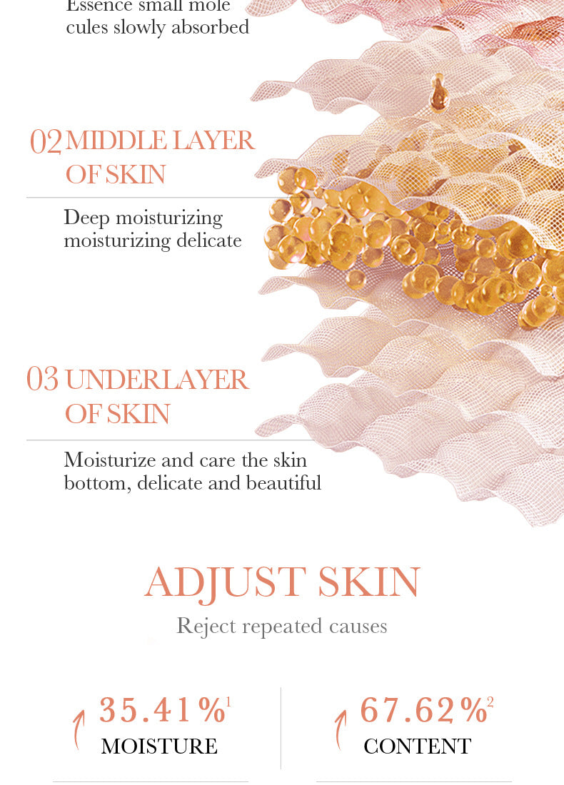 Camellia Face Cream BIOAOUA Hydrating, moisturizing, refreshing, non-sticky moisturizing cream cross-border foreign trade wholesale