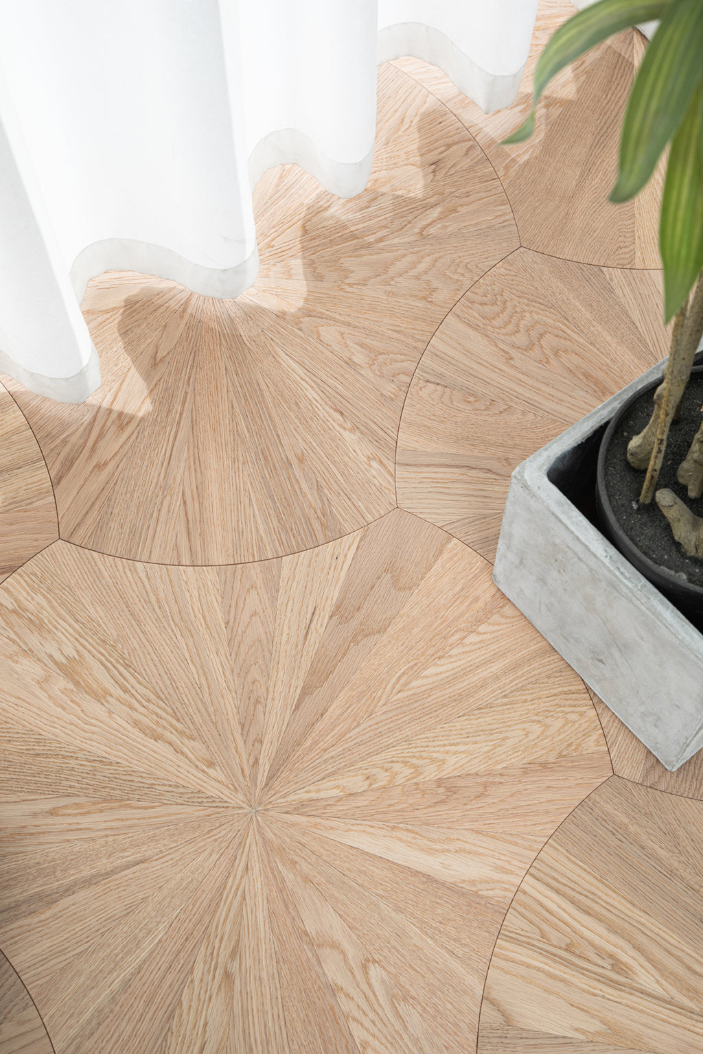 YXPX601 Oak Sunburst Radial Organic Parquet Flooring | Lotus Leaf Series