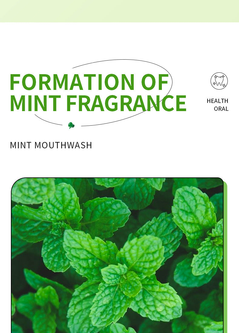 H Full English Mouthwash Box Set SADOER Disposable Portable Oral Cleaning  Wholesale