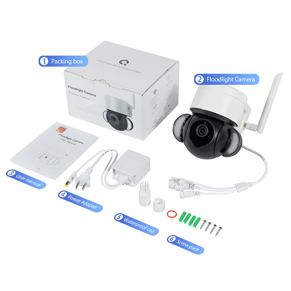 Factory Private Model TUYA Wireless Monitoring WiFi Surveillance Dome Camera HD3MP Graffiti Camera Recorder