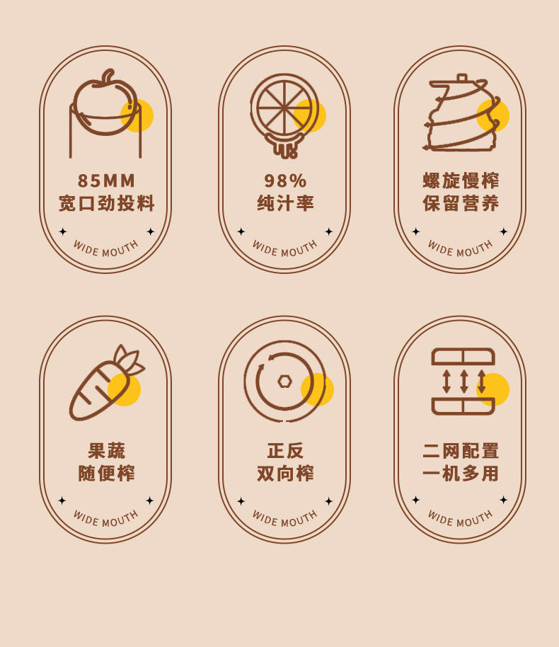 Juicer for Home Use, Pulp and Juice Separation, Multi-Functional Fruit and Vegetable Juice Maker, Slow Juicer for Soy Milk, Large Capacity