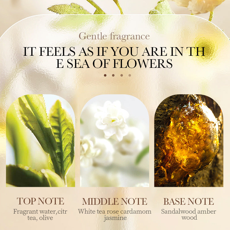 Full English Hand and Foot Cream60g SADOER Hydrating, moisturizing, anti-cracking, hydrating fragrance hand cream for  foreign trade wholesale