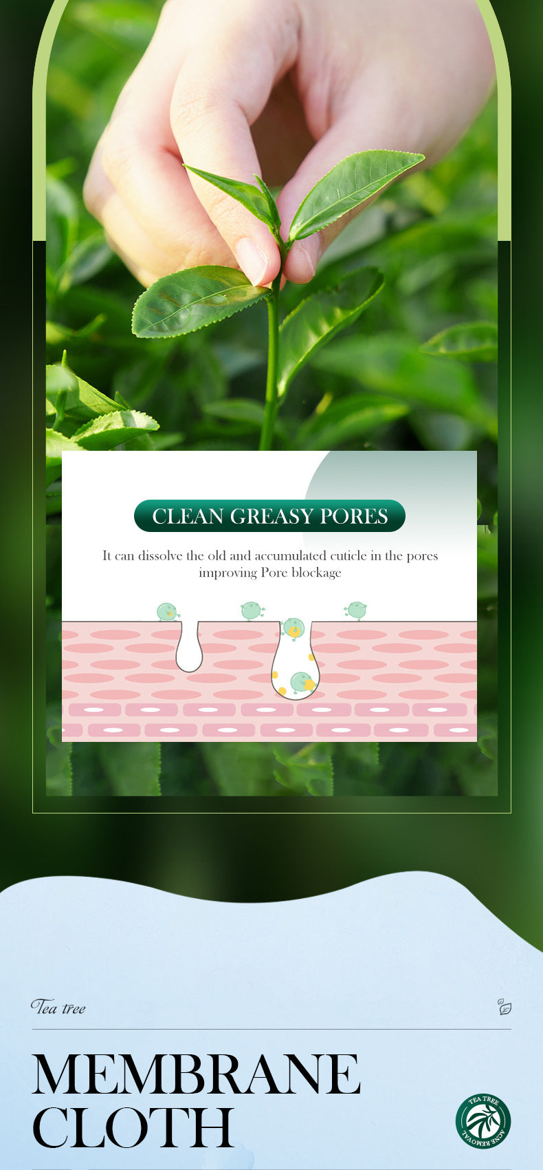 Full English Tea Tree Facial Mask25g SADOER Refreshing Moisturizing Tablets for  Wholesale