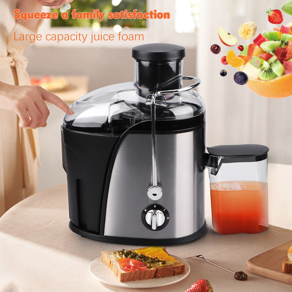 RAF Stainless Steel Electric Juicer  Children's Fruit Juice Machine/l Cooking Machine/Juicer