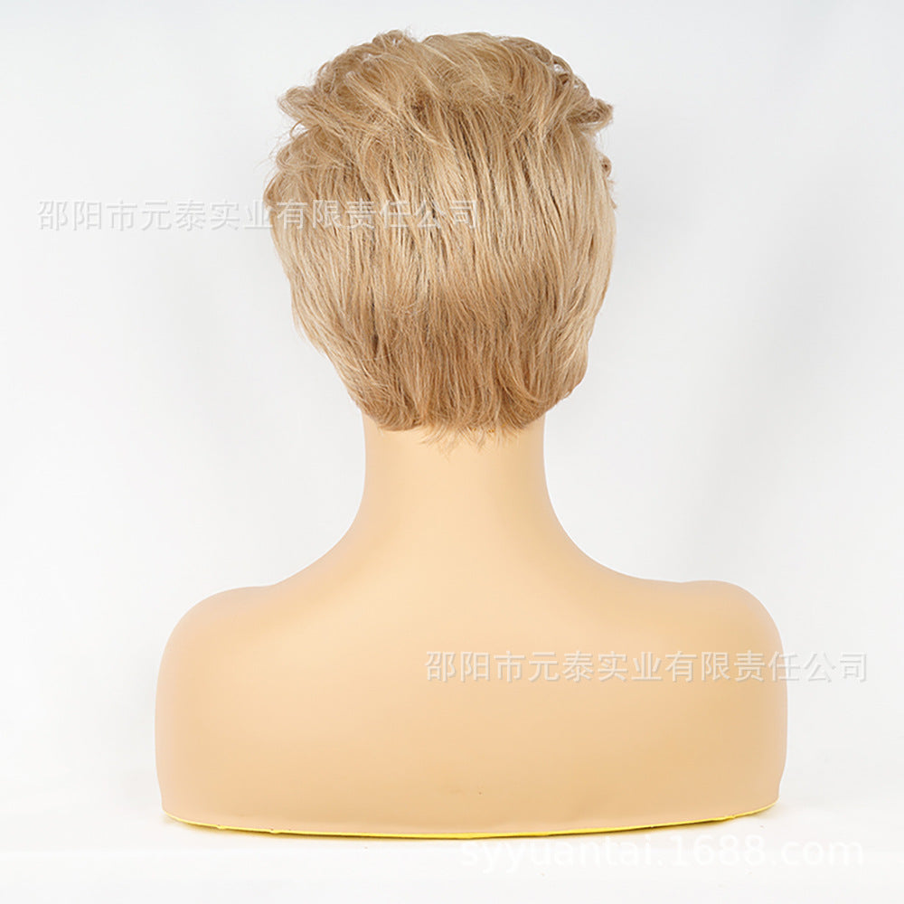 Synthetic Short Wig Cap Fashion Short Wig No Parting Wig Cap Short Hair Stylish Short Hair Fluffy wigs