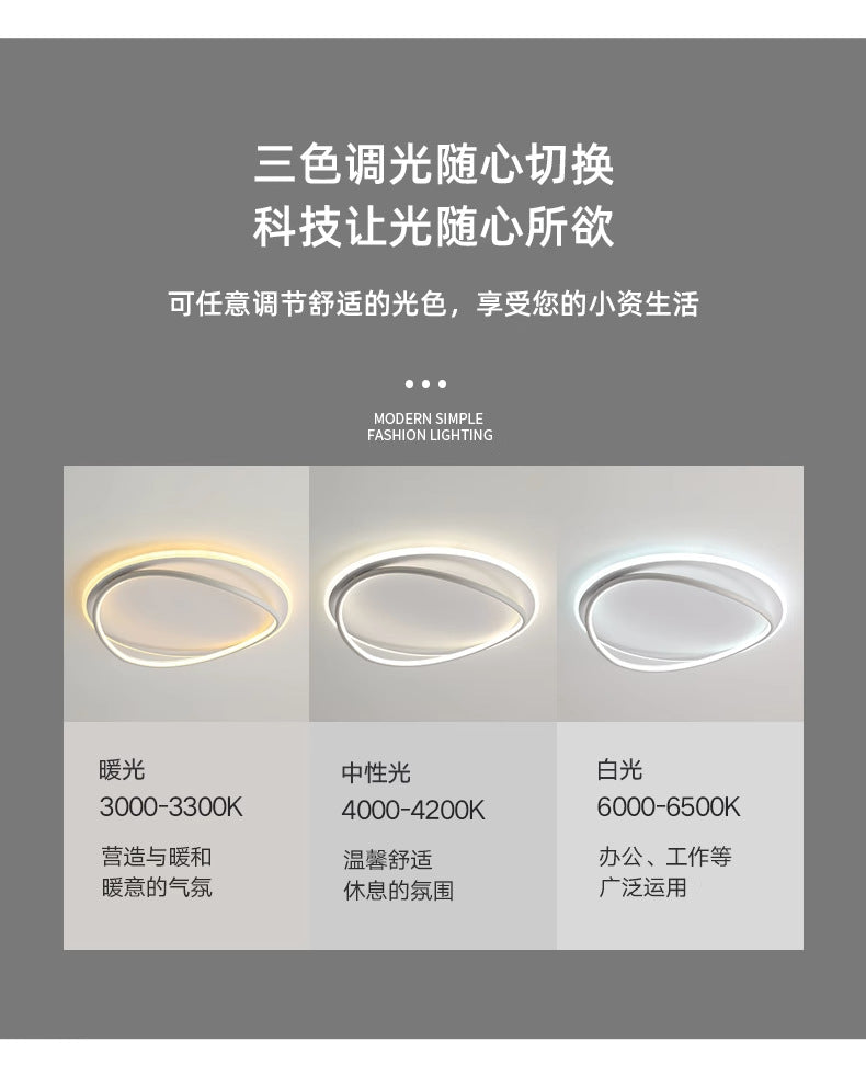 Nordic Light Luxury Bedroom Lamp LED Ceiling lamp for master bedroom, study room, dining room, simple modern oval light fixture