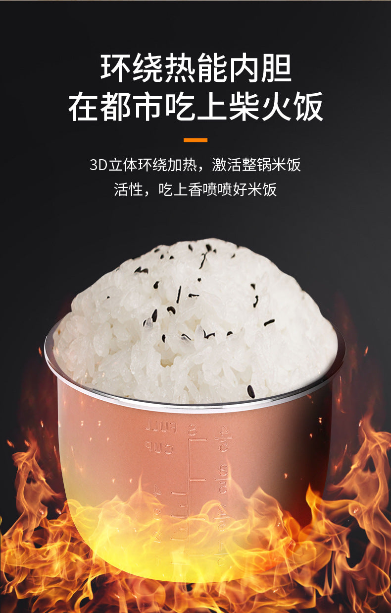 Factory Export  Household2.5L Electric Pressure Cooker Large Capacity Rice Cooker Multi-Function Wholesale Pressure Cooker