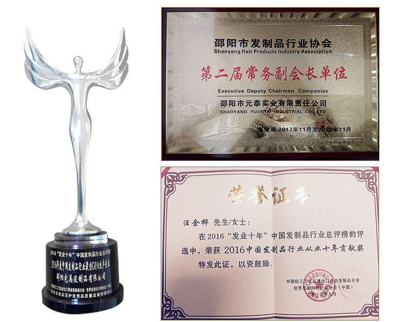 European and American Style Small Braids Wig for Women Small Curly Synthetic Hair Wig braidedwigsAfroDreadl Long Curly Hair