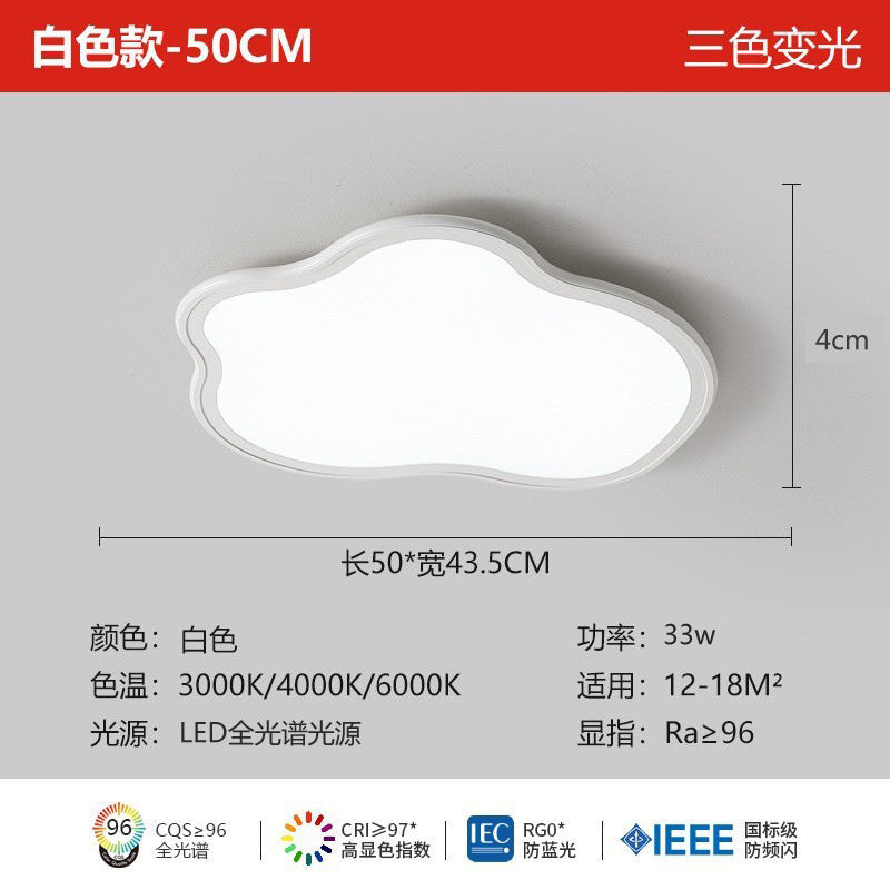 Full Spectrum Ceiling Light Hall High-end Zhongshan Lighting Modern Simple Living Room Light Home Study Bedroom Light