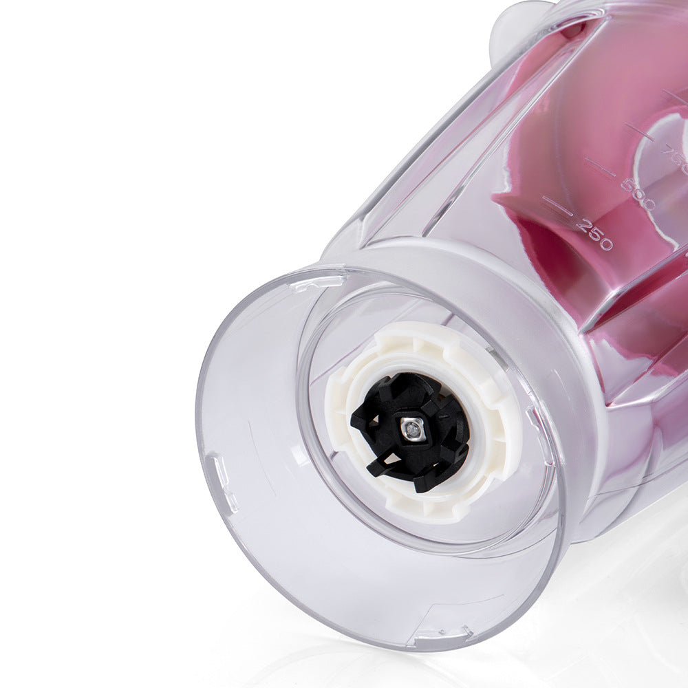 RAF European Standard Blender for Home Use Soy Milk Fruit Juicer Plastic Cup Commercial Smoothie Maker R .2894
