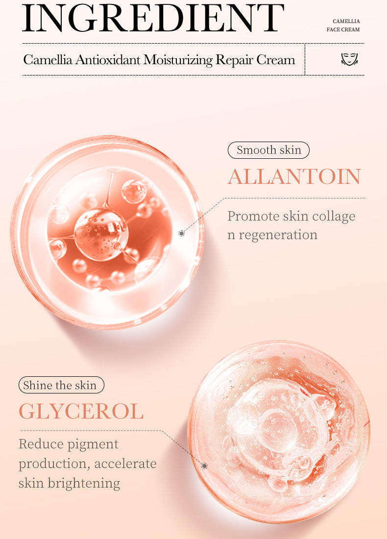 Camellia Face Cream BIOAOUA Hydrating, moisturizing, refreshing, non-sticky moisturizing cream cross-border foreign trade wholesale