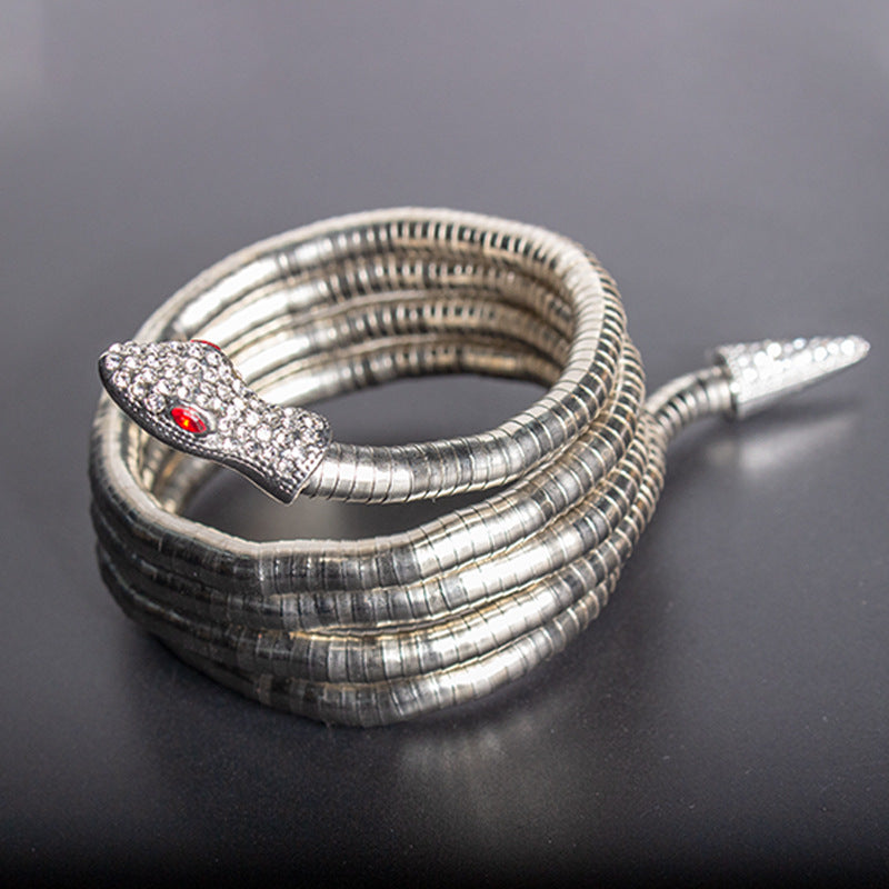 Men's New Necklace Women's Versatile High-end European and American Style Jewelry ins Minimalist Snake Bone Chain Snake Necklace