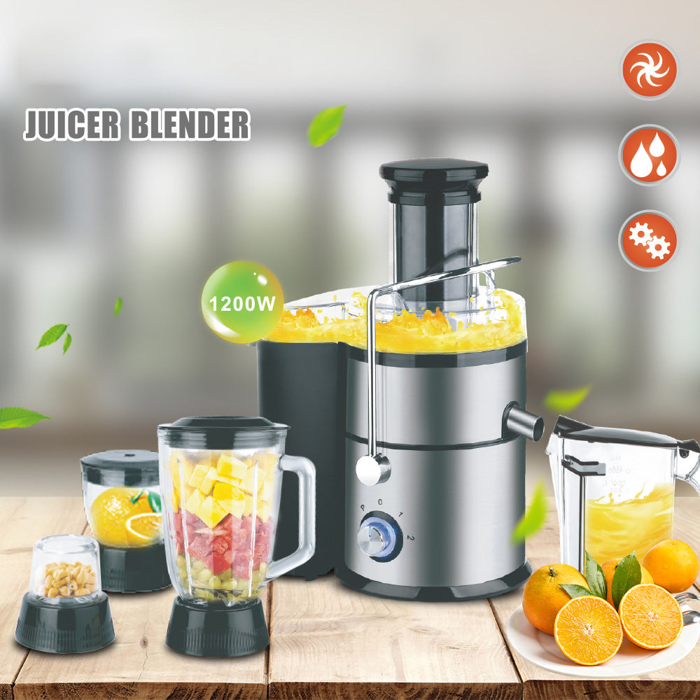 RAF Multifunctional Household Juicer Integrated Grinding and Cooking Machine Juice Extractor with No Residue4IN1