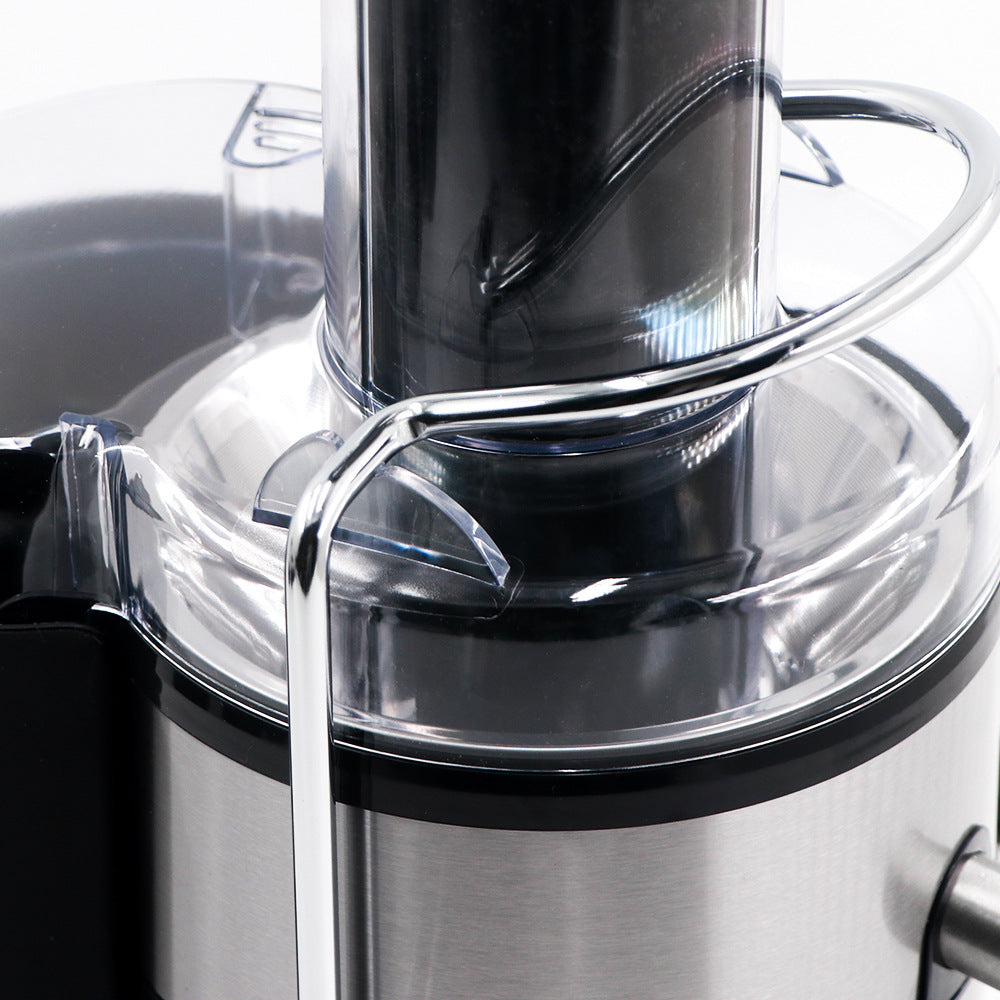 RAF Multifunctional Household Juicer Integrated Grinding and Cooking Machine Juice Extractor with No Residue4IN1