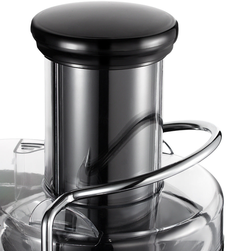 RAF Stainless Steel Juicer /l Cooking Machine/Children's Fruit Juicer Original Juice Extractor with Juice and Pulp Separation R.2868