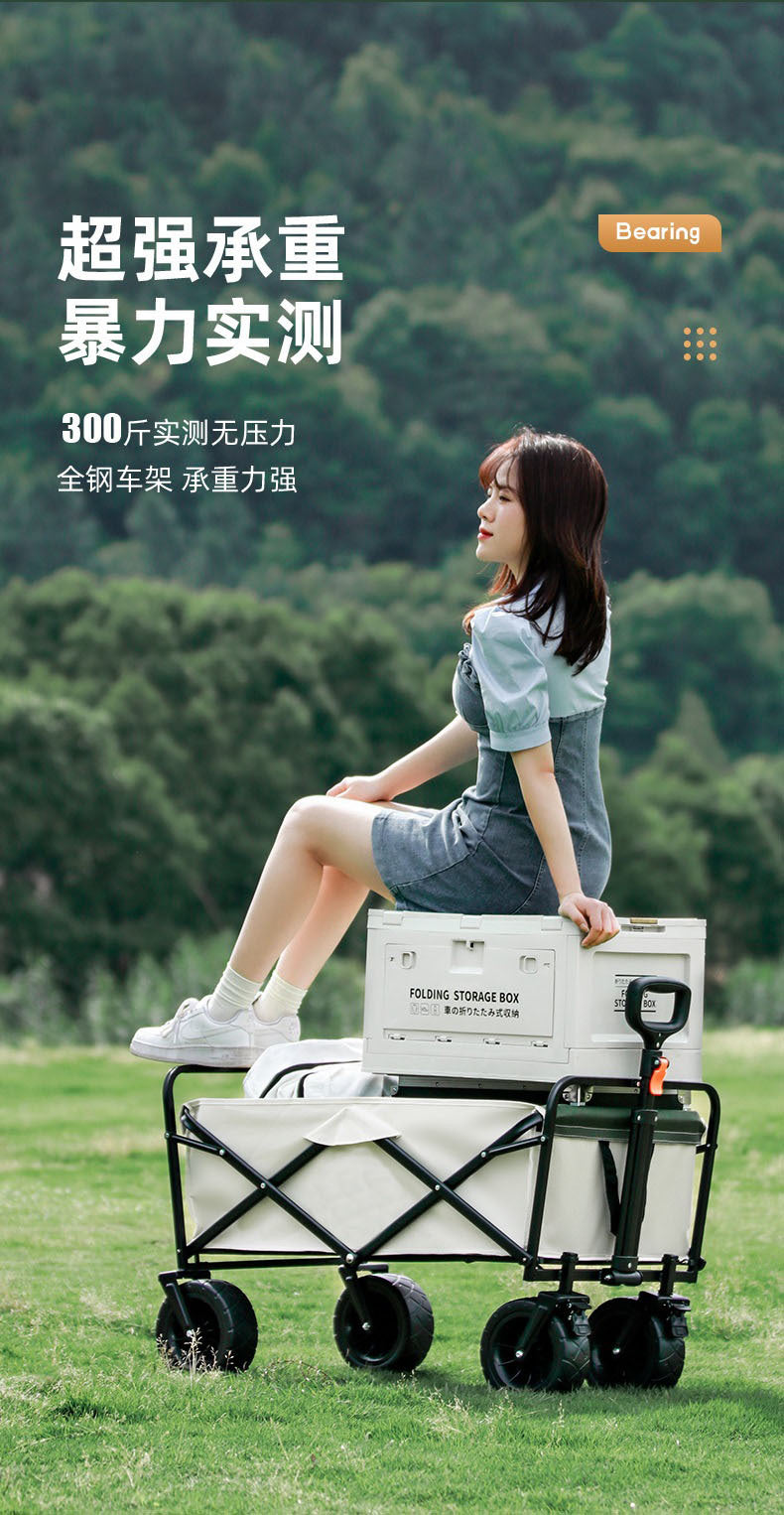 Camping Cart Outdoor Foldable Portable Flatbed Cart with Rear Opening, Liftable Table, and Stall Push Cart