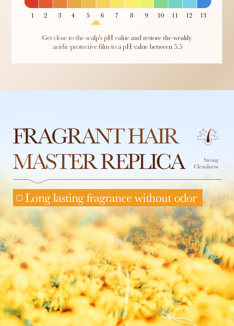 Argan Oil Shampoo500ml SADOER Smooth Anti-Dandruff Refreshing Conditioner Cross-Border Wholesale