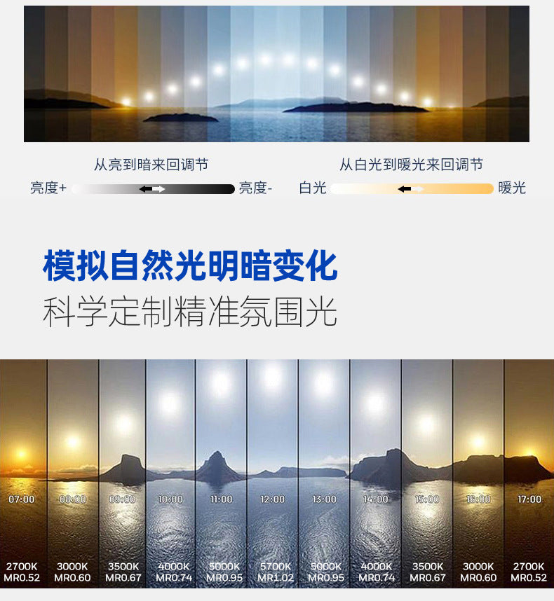 New Nordic Style Living Room Lamp for Home Use, Elegant led Ceiling Lamp Iron Art Room Lamp Creative Simple Bedroom Lamp Round Shape