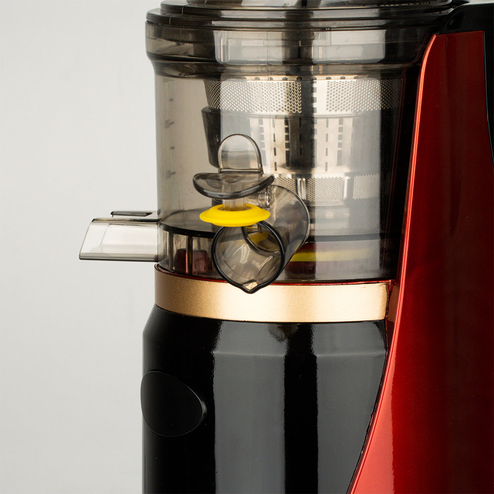 RAF European Standard Fully Automatic Fruit and Vegetable Juice Extractor Multifunctional Juice and Pulp Separator Juicer  Juicer