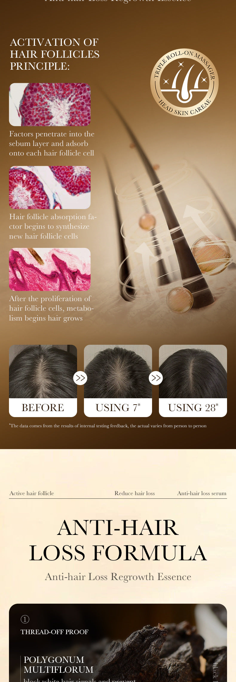 Full English Anti-Hair Loss Serum ZOZU Strengthen Hair Roots Improve Hair Loss Hair Growth Essence  Wholesale