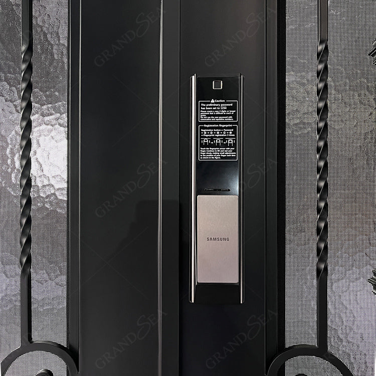 Foshan Factory High Quality Double Front Entry Doors Wrought Iron Doors Double Exterior