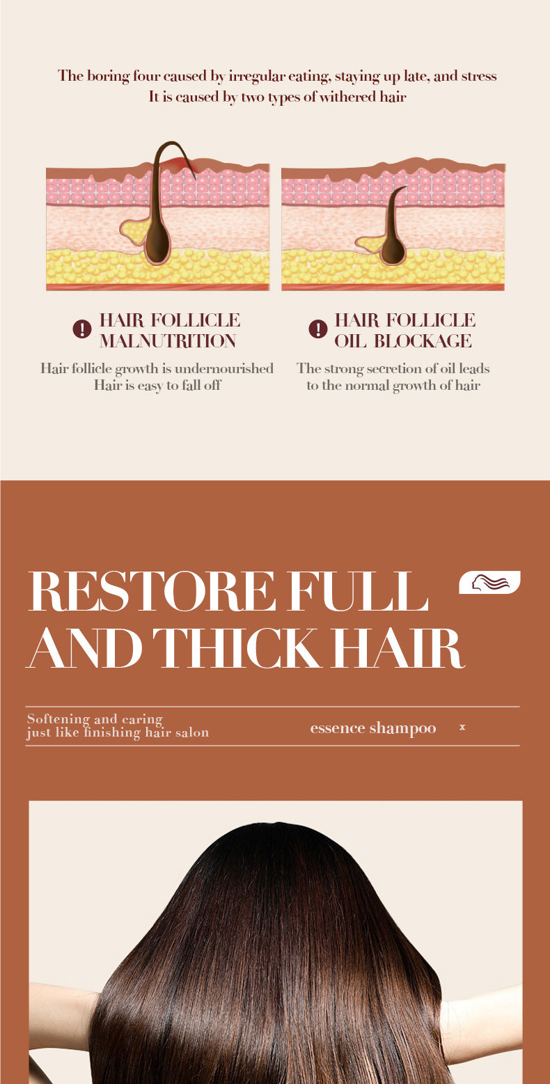 Full English Ginger Anti-Hair Loss Shampoo500ml SADOER Plant Shampoo  Wholesale