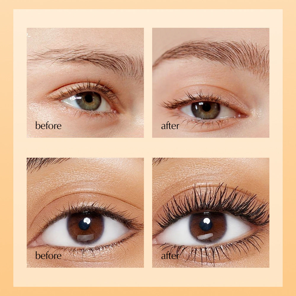 European Dropshipping Double-Ended Mascara Curling Dense Eyebrow Liquid Packaging Makeup Customizable Label