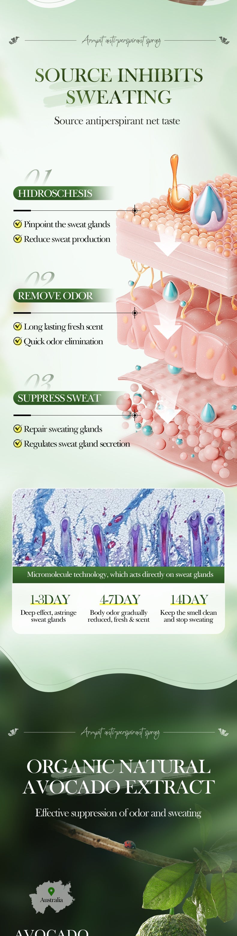 Avocado Perfume Antiperspirant Spray SADOER Deodorant Antiperspirant Portable Spray Cross-Border Wholesale