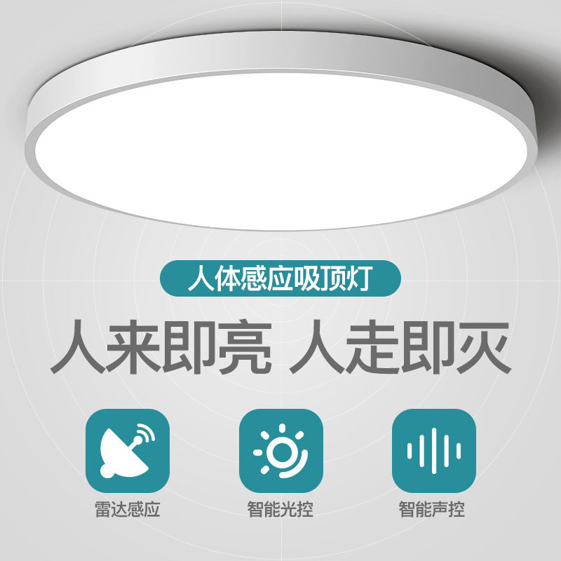 Smart Ceiling Light LED Aisle Corridor Lighting Stair Light Entryway Voice-Controlled Light Radar Human Body Sensor Light