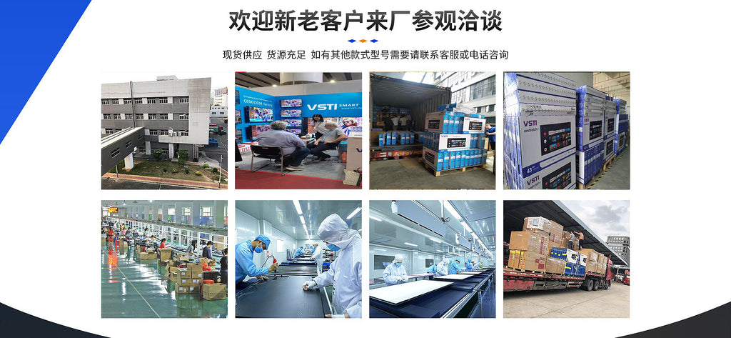 VSTI Handheld disinfectant sprayer produced by Skyworth for watering plants and household cleaning USB Rechargeable