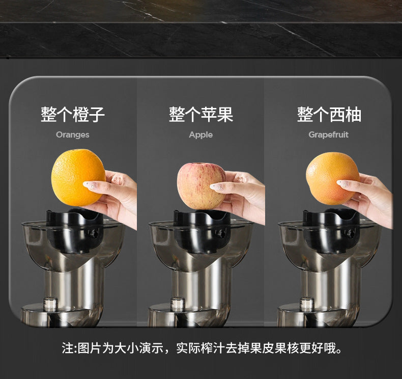 Juicer with Pulp Separation, Fully Automatic Household Small Juicer, Multi-Functional Fruit Juice Maker, Original Juice Machine
