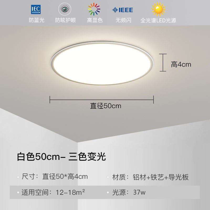 Full Spectrum Ceiling Light Hall High-end Zhongshan Lighting Modern Simple Living Room Light Home Study Bedroom Light