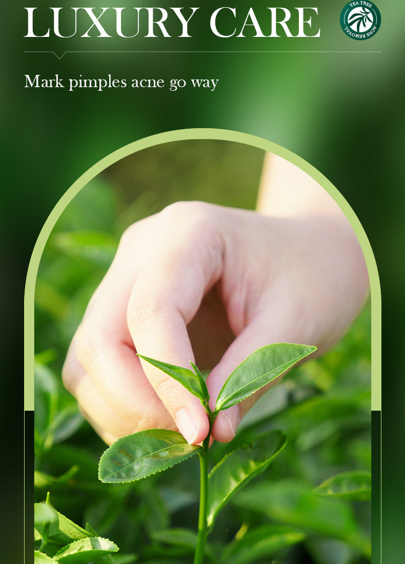 Full English Tea Tree Skincare Set SADOER Cleansing, moisturizing, hydrating five-piece set for  foreign trade wholesale