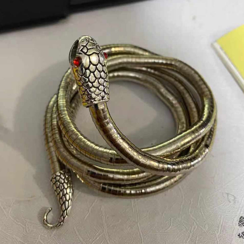 Men's New Necklace Women's Versatile High-end European and American Style Jewelry ins Minimalist Snake Bone Chain Snake Necklace