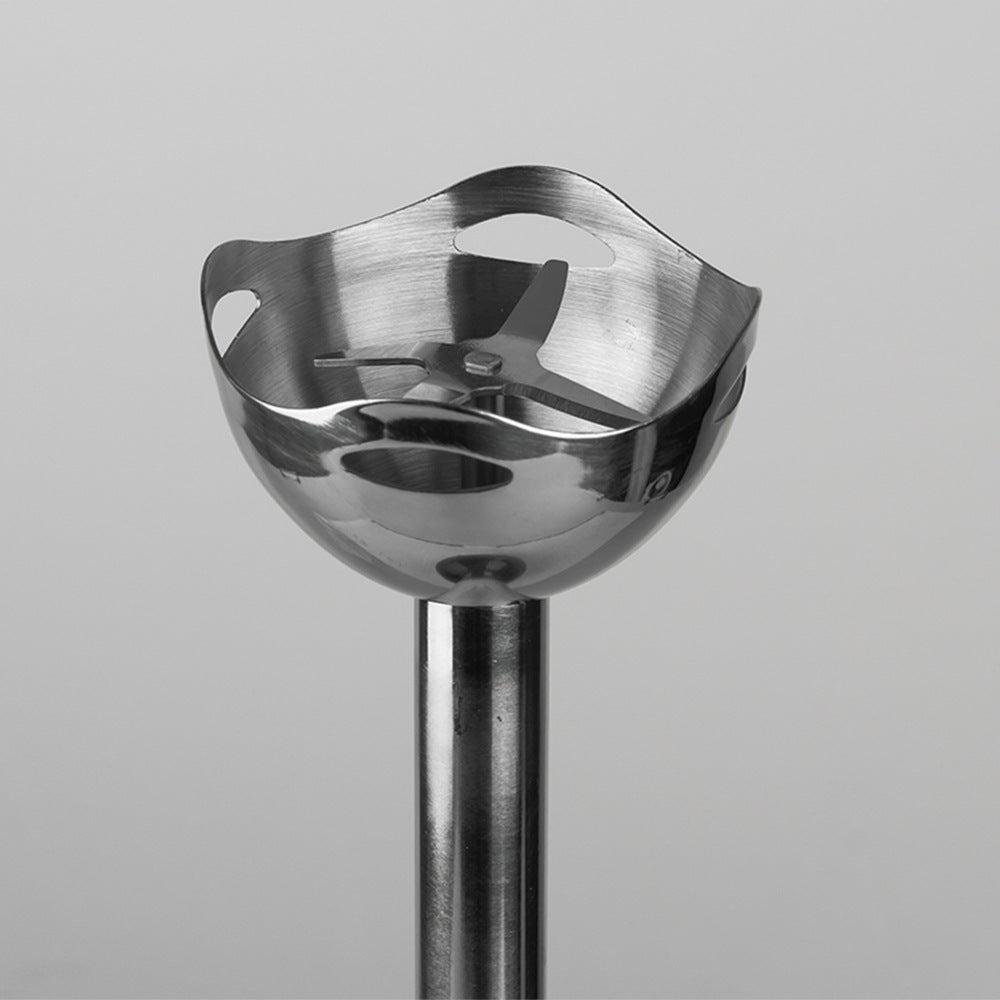 RAF European Standard Fruit Juicer Food Processor Kitchen Small Appliance Stainless Steel Electric Mixer Single Stick