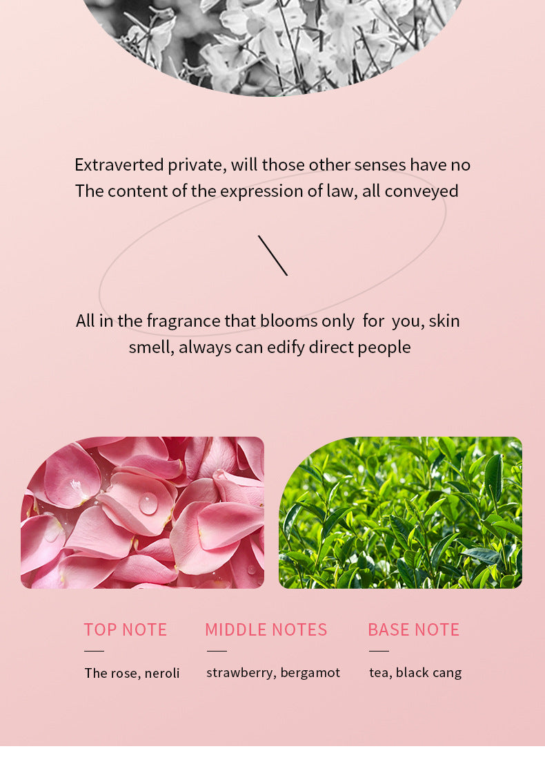 Full English Plant Essence Serum SADOER Aloe Vera Rose Chamomile Hydrating Moisturizing  Foreign Trade Wholesale