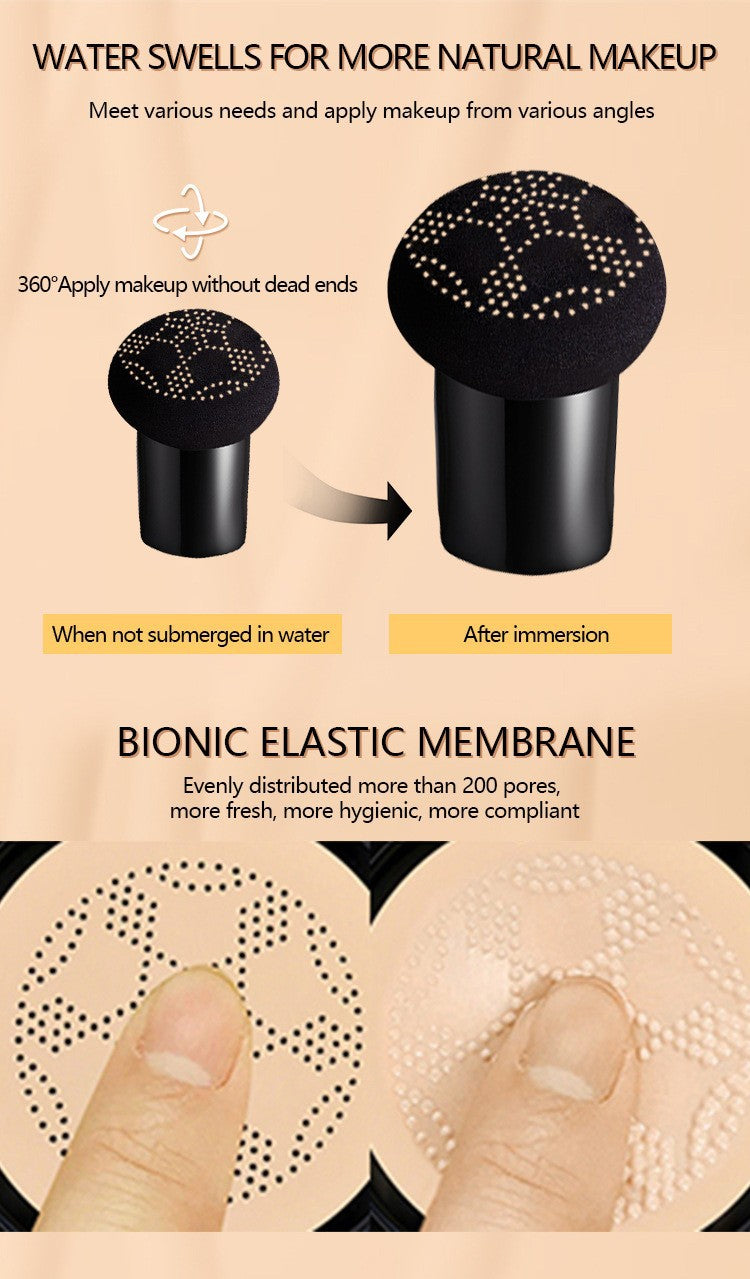 Anglicolor Mushroom Head Air Cushion CC Concealer Foundation Liquid Primer Sweatproof BB Shuangdai Hair