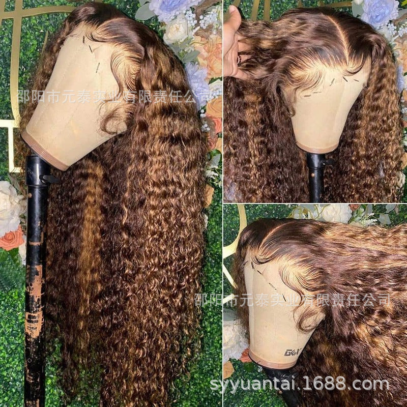 Allove Highlight Ombre Hair Invisible 13x4 Lace Front Wig