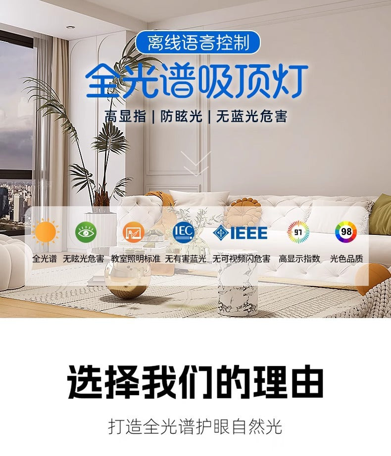 Living Room Main Light2025New Modern Simple Flower Cream Style Ceiling Light Zhongshan Lighting Full House Package