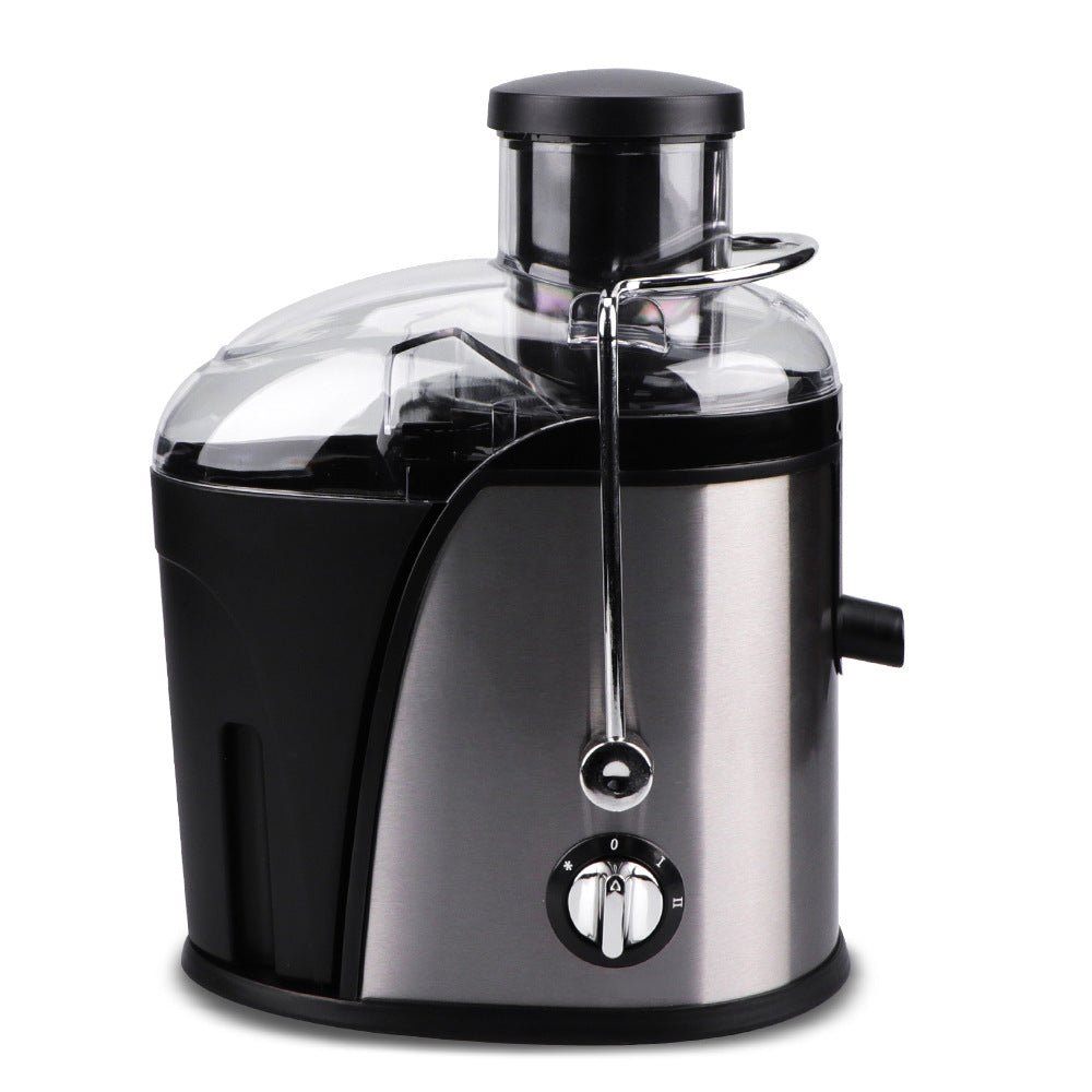 RAF Stainless Steel Electric Juicer  Children's Fruit Juice Machine/l Cooking Machine/Juicer