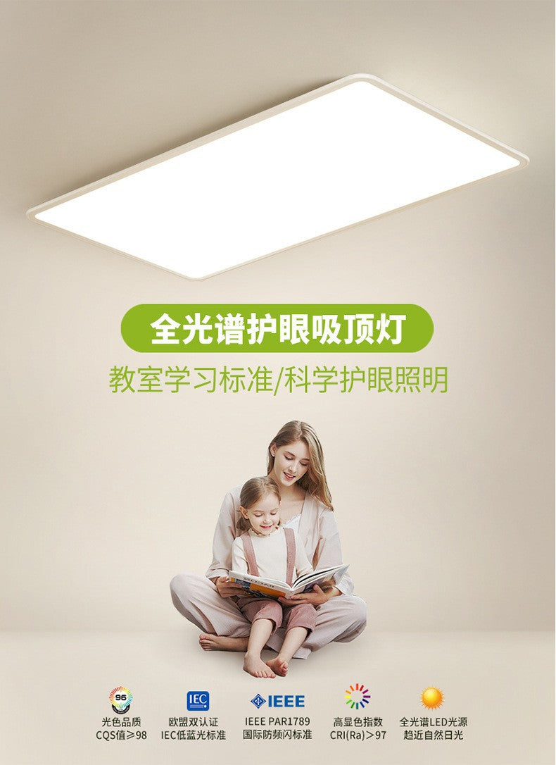 Full Spectrum Ceiling Light Hall High-end Zhongshan Lighting Modern Simple Living Room Light Home Study Bedroom Light