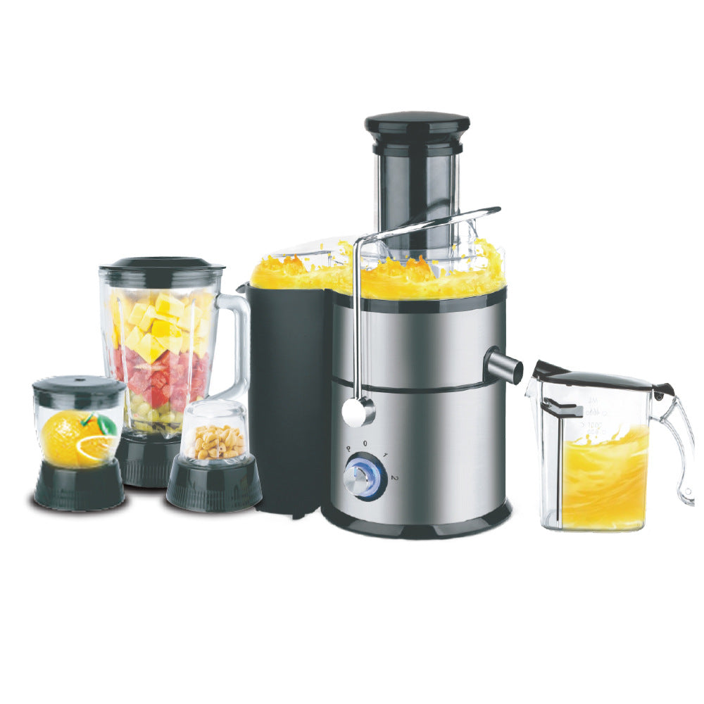 RAF Multifunctional Household Juicer Integrated Grinding and Cooking Machine Juice Extractor with No Residue4IN1