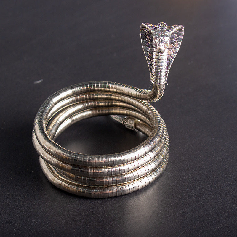 Men's New Necklace Women's Versatile High-end European and American Style Jewelry ins Minimalist Snake Bone Chain Snake Necklace