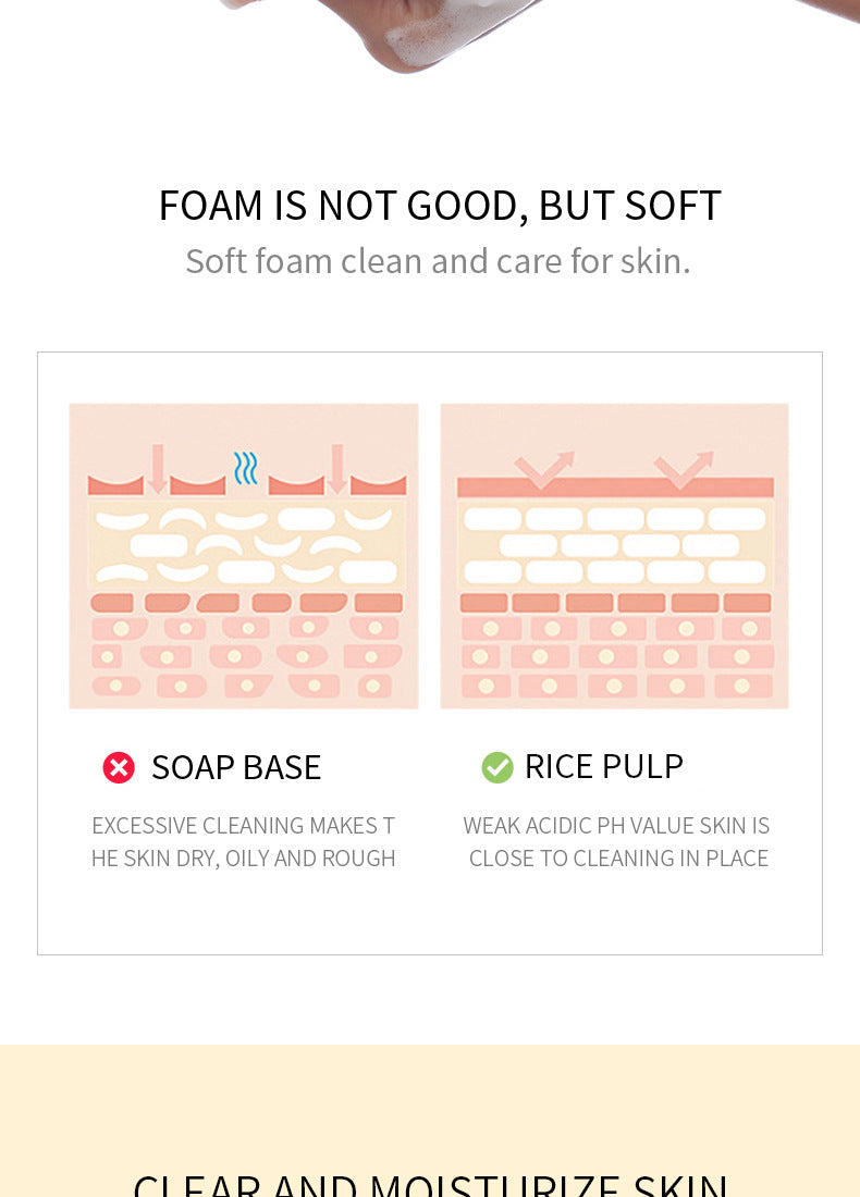 Rice Puree Facial Cleanser100g BIOAOUA Cleansing, Moisturizing, and Hydrating Export Cross-Border Manufacturer Wholesale